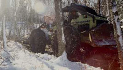 Logs are dragged out of the forest using a skidder