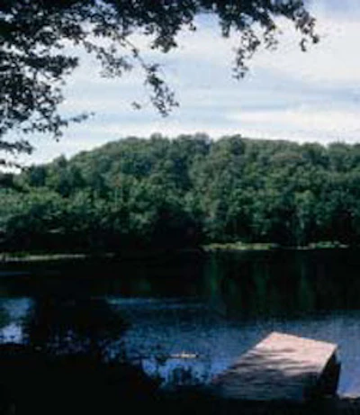 Seen from a distance, the completed selection harvest across the lake is difficult to detect.