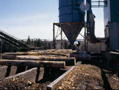 Logs head into the mill on the infeed deck.