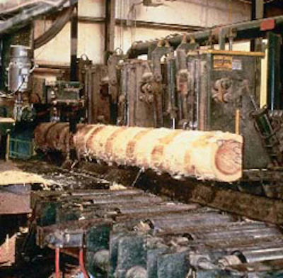 After the debarker, a slab is cut off one side of the log.