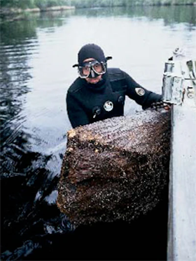 Divers carefully remove logs from a river one at a time.