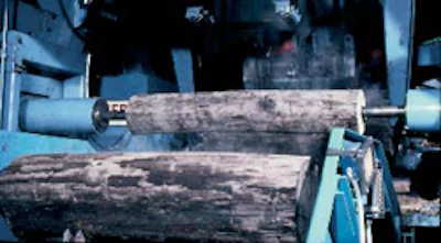 Fresh out of the steam vat, the log is held up by spindles for the peeling process.