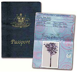 Hf 0800 43