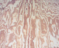 Hf 0102 55 S1