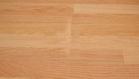 Hf 0403 77 Ddm1