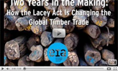 NWFA video: Lacey Act