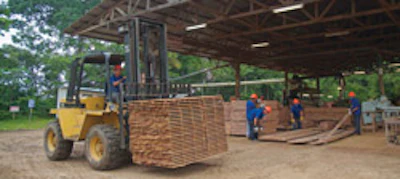 A warehouse where lumber is stored on sticks for drying.