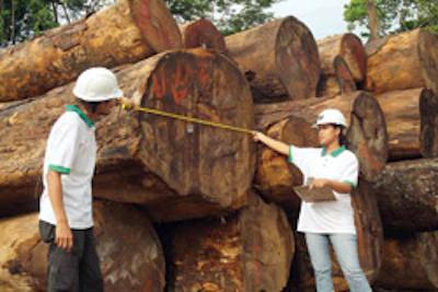 Logs are measured to determine cuttings.