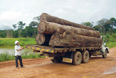 In the past, barges were often used to transport the logs by river, but now roads are the main means of transportation.