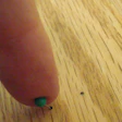 Pin worm holes are allowable in almost all grades of wood flooring.