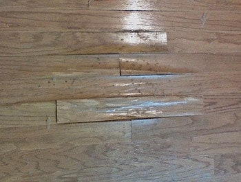 Steam on hardwood floors deals