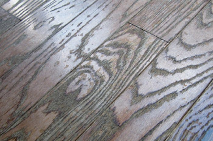 A prefinished solid wood floor damaged by repeated use of a steam mop cleaner.