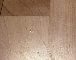 Spots such as this hair trapped in the finish will be visible after recoating unless they are hand-scraped out first; the minor scratches should disapper.