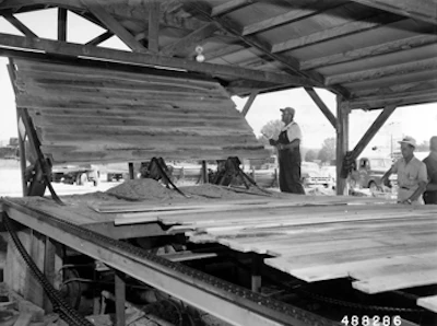 A worker feeds lumber into the Smith Flooring fabrication line, circa 1948. (Photo courtesy of the Forest History Society, Durham, N.C.)