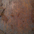 Gross Carpet Pad1