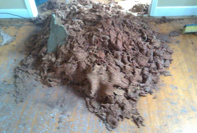 Gross Carpet Pad2
