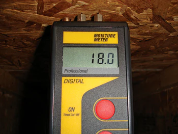 Ooe 411 Hf David P2 Web