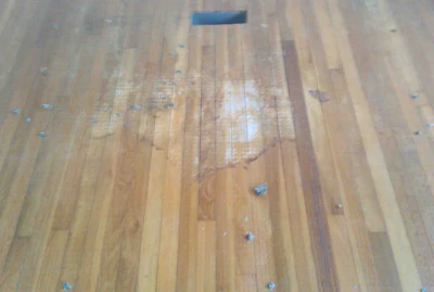 white oak wood floor with pee stain before resanding