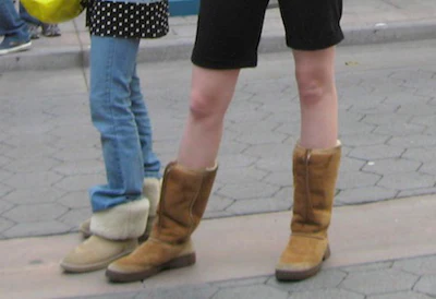 ugg boots cause prices for raw lambskin to go up