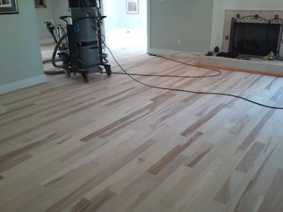1 Wayne Lee Elm Floor 3