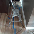 Wayne Lee Painter Scratching The Wood Floors