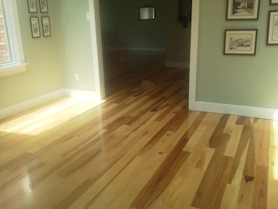 Wayne Lee Elm Wood Floor Finished