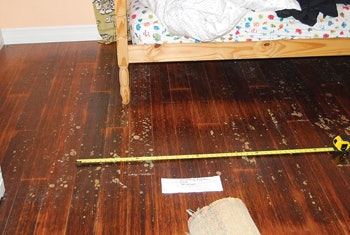 4 T 811 Hf Finish Blister2 Web