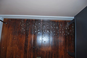 4 U 811 Hf Finish Blister3 Web