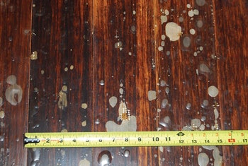 4 V 811 Hf Finish Blister4 Web