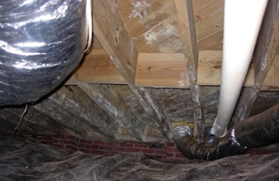 Crawl Space With Mold Treatment