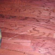 Scratched Brazilian cherry wood floor.jpg