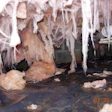 Wet Crawl Space1.jpg