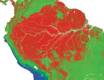 satellite image of Amazon rain forest