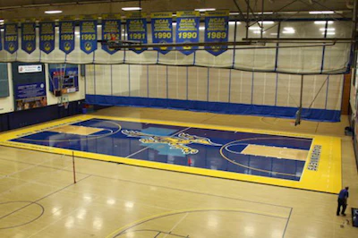Cal State University Bakersfield Blue Basketball Floor