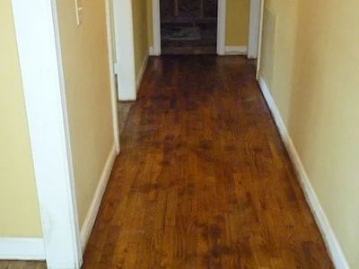 Urine Trail On Wood Floor