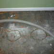 Wood floor with urine stains