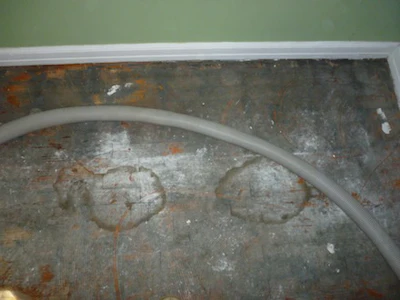 Wood floor with urine stains