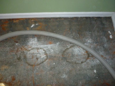 Wood floor with urine stains