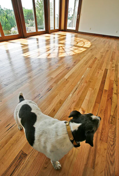 Pioneer Millworks Black & Tan In Equi Center For Horse Therapy
