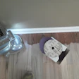 Edger with factory finish floor at wall line.jpg