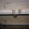 Fungus In Wood Floor Subfloor