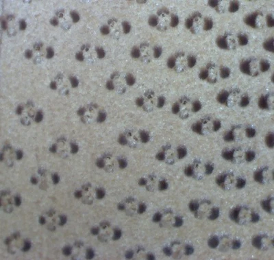 Bamboo End Grain 10x