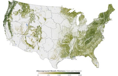 Map By Nasa Showing Tree Canopy In The United States Map Depicts Concentration Of Biomass, Or Organic Carbon