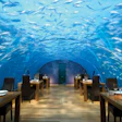 photo of underwater restaurant with exotic wood flooring