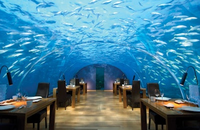 photo of underwater restaurant with exotic wood flooring
