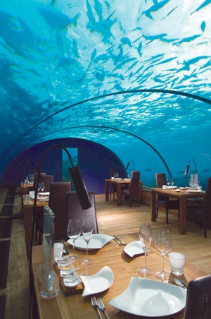 photo of underwater restaurant with exotic wood flooring