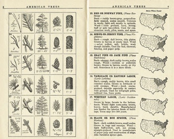 Handbook Amer Trees 8 9 0212