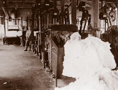 Cotton mills in the southeastern United States were among the many industries that required great expanses of maple hardwood floors around the turn of the century.