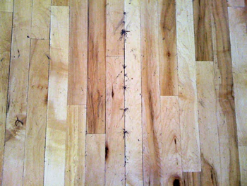 Photo of Polybeads