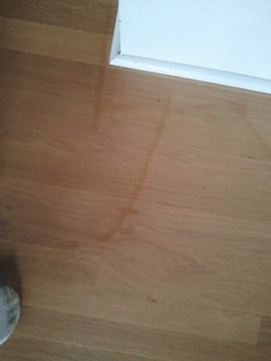 Photo of floor stain disaster